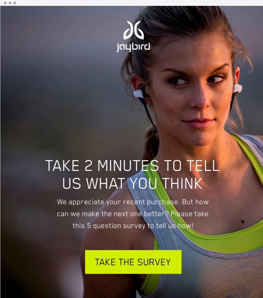 Email Marketing - Jaybird Survey Email