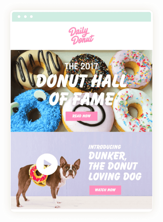 Daily Donut Email - Hall of Fame